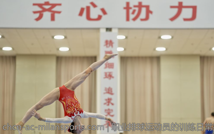 意甲联赛中个人单赛季进球数的历史纪录与争议